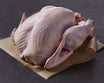 Whole, Fresh All-Natural Turkey